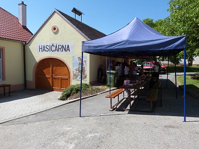 Zaliny